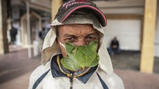 Pouliní prodava v marocké medin nosí provizorní masku z fíkových list. (18....
