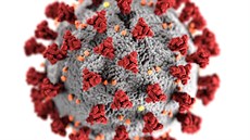 Počítačová rekonstrukce podoby viru SARS-CoV-2 (s nepřirozenými barvami,...