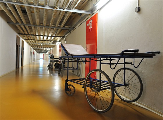 ilustra�ní snímek