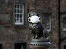 Rouka proti koronaviru na soe psa v Edinburghu. Britská vláda vyzvala obany,...