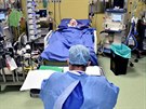 Léka dohlíí na pacienta na jednotce intenzivní pée v nemocnici San Raffaele...