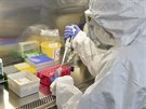 Laborantka v Krajsk� nemocnici Tom�e Bati ve Zl�n� testuje odebran� biologick�...
