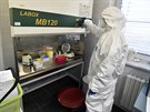 Laborantka v Krajsk� nemocnici Tom�e Bati ve Zl�n� testuje odebran� biologick�...