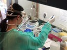 Mikrobiologick pracovit Centrlnch laborato Nemocnice Strakonice zahjilo...