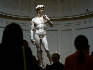 David je renesanční sochařské dílo z let 1501–1504.