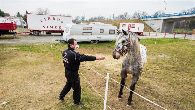 Cirkus Šimek uvízl kvůli vyhlášenému stavu nouze v souvislosti s koronavirovou pandemií v Holešově. Na snímku je šéf cirkusu Emil Šimek.