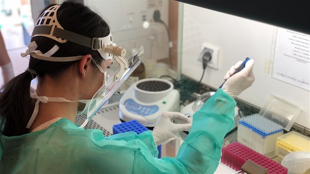 Mikrobiologické pracoviště Centrálních laboratoří Nemocnice Strakonice zahájilo v úterý tzv. PCR diagnostiku pacientů s koronavirovou infekcí. (24. března 2020)