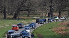 Londýňané zamířili houfně do Richmond Parku. (21. března 2020)