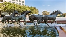 Sousoí Mustangs at Las Colinas zobrazuje stádo divokých mustang. Autorem díla...