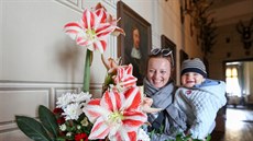 O Velikonocích pořádají na třeboňském zámku výstavu květinových vazeb. Letos ji...