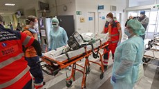 Triážní sestra rozděluje pacienty u vstupu do pavilonu plzeňské nemocnice,...