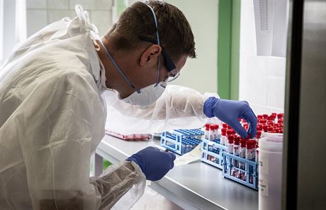 Zpracování vzork odebraných na testování nemoci COVID-19 v laboratoi...
