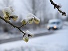 Sněhová nadílka v Milíčově (31. března 2020)