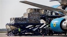 Boeing 767 spolenosti Uzbekistan Cargo transportuje ochranné pomcky z íny na...