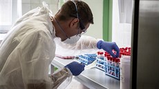 Zpracování vzorků odebraných na testování nemoci COVID-19 v laboratoři...