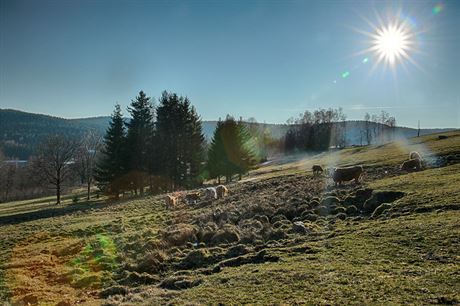 Luní pramenit v krunohorské obci Rudné nedaleko Vysoké Pece