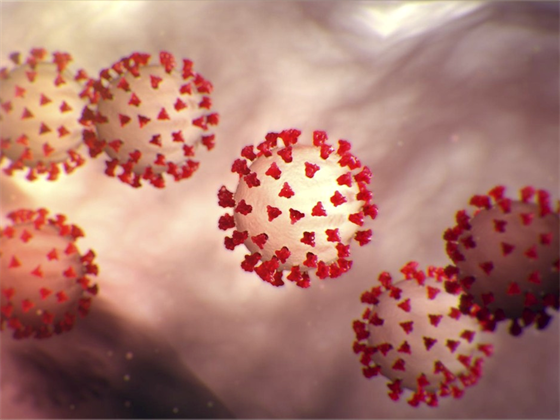 Nový koronavirus (SARS-CoV-2) podle vizualizace americké CDC