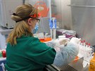 Testování vzork na onemocnní covid-19 v laboratoi Biotechnologického a...