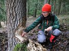 Výskyt bobr v Posázaví monitoruje u nkolik let zooloka Jana Matrková z...