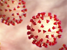 Nový koronavirus (SARS-CoV-2) podle vizualizace americké CDC