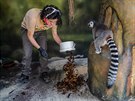 Oetovatelka nese krmen lemurm (28. 3. 2020).