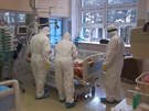 Na Klinice infeknch chorob Fakultn nemocnice Brno peuj o pacienty s...