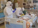 Na Klinice infekních chorob Fakultní nemocnice Brno peují o pacienty s...