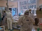 Na Klinice infekních chorob Fakultní nemocnice Brno peují o pacienty s...