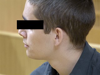 Vrah R. P., který v necelých třinácti letech zavraždil v Kmetiněvsi svoji...