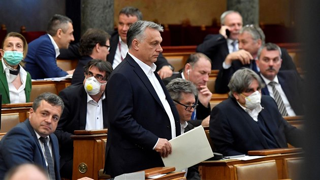 Maarsk premir Viktor Orbn (uprosted) bhem parlamentnho zasedn. Poslanci schvlili kontroverzn protikoronavirov zkon, kter vznamn poslil pravomoc vldy. (30. bezna 2020)