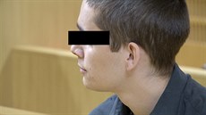 Vrah R. P., který v necelých třinácti letech zavraždil v Kmetiněvsi svoji...