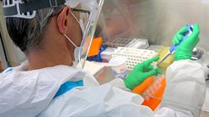 Testování vzork na onemocnní covid-19 v laboratoi Biotechnologického a...