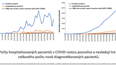 Pomr pozitivních a hospitalizovaných pípad. V R se ke 30. beznu zatím...