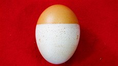 Vypadá jako malované, ale není tomu tak. Slepice snesla dokonale dvoubarevné...