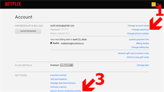 Nastavení ve webovém rozhraní Netflixu. 1 - Zmna hesla, 2 - kontrola...