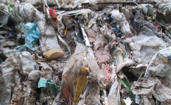 ilustra�ní snímek