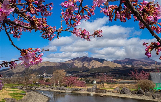 Výhled na centrální sopečné pohoří na Aso nám zpestřily kvetoucí švestky.