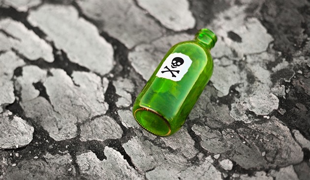 Obec nabízí odměnu za dopadení traviče psů. Podobné problémy už tam řešili