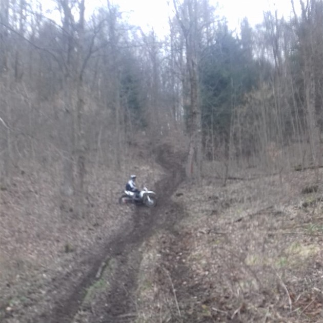 Motorkáři rozjezdili bledule v chráněném území pod Orlickými horami