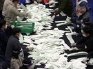 Sítání volebních hlas v Jiní Koreji