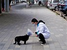Mu na procházce se psem v centru Wu-chanu (14. dubna 2020)