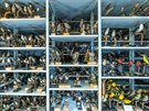 Ornitologické sbírky Národního muzea dobe odráejí pestrost ptaího svta. 