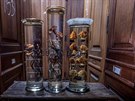 Nejeden houba by nad mykologickými sbírkami Národního muzea zaplesal: obsahují...
