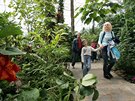 Teplick botanick zahrada byla oficiln zaloena v roce 2002 na pozemcch,...