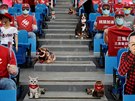 Figuríny fanouk na stadionu v Tchaj-wanu
