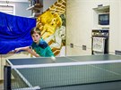 Petr Hodina v dob karantény alespo trénuje stolní tenis v domácích podmínkách...