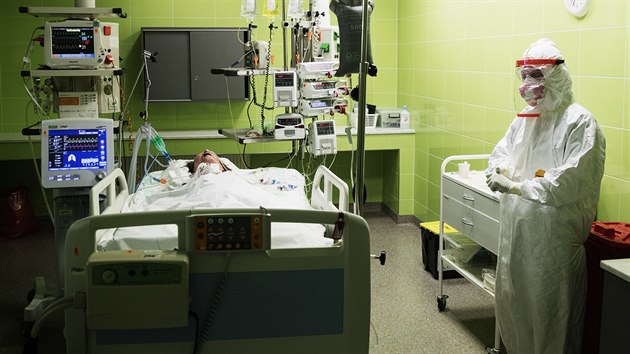 Nemocnice na Bulovce uvedla, e pro pacienty s covid-19 vylenila i s kapacitami v Lznch Toue u Prahy zhruba 300 mst. (9. dubna 2020)