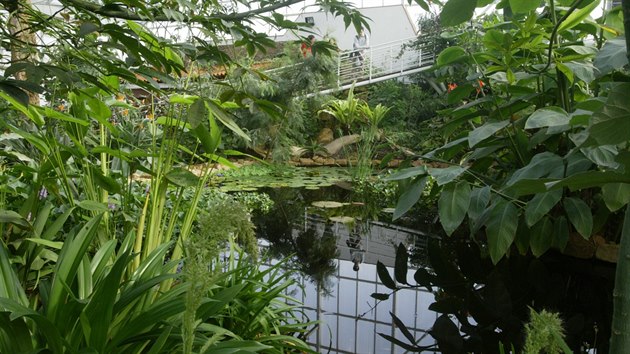 Do modernizace zdroje tepla a nového vstupního odbavovacího systému investovala v roce 2020 Botanická zahrada Teplice téměř dva miliony korun.
