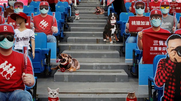 Figurny fanouk na stadionu v Tchaj-wanu