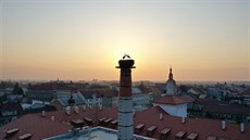 Hole�ovský komín v b�eznu obsadil �apí pár, hned se dostal do centra pozornosti...